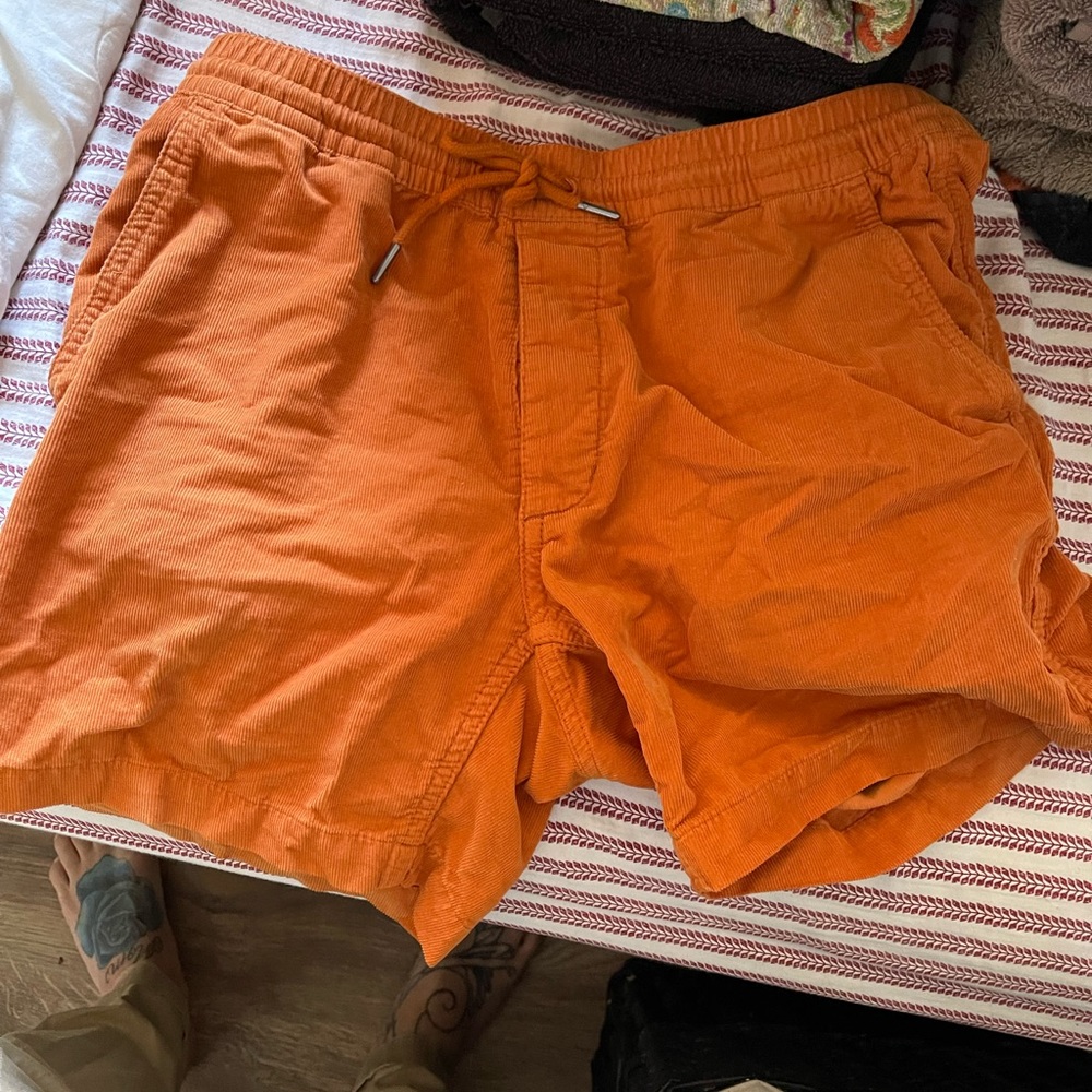 Taylor stitch shorts